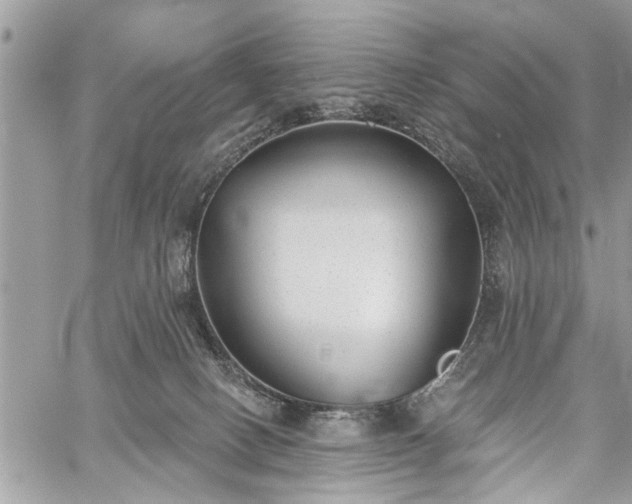 X0000059820082200510241406