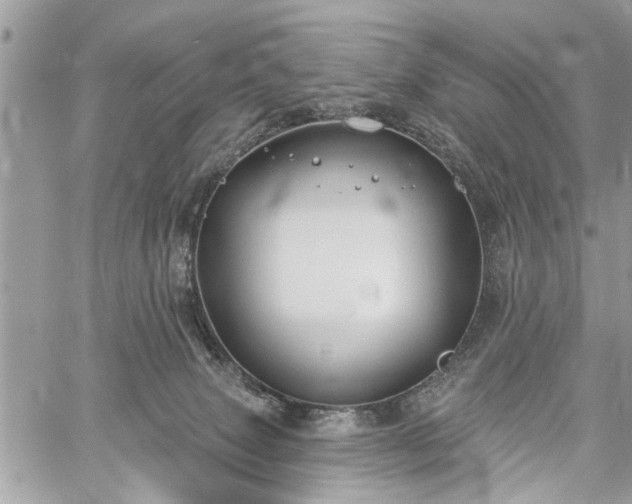 X0000059820083200510241406