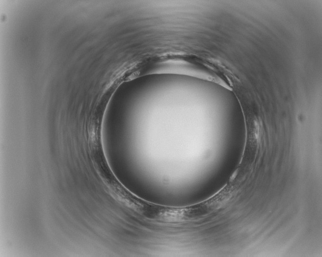 X0000059820084200510241406