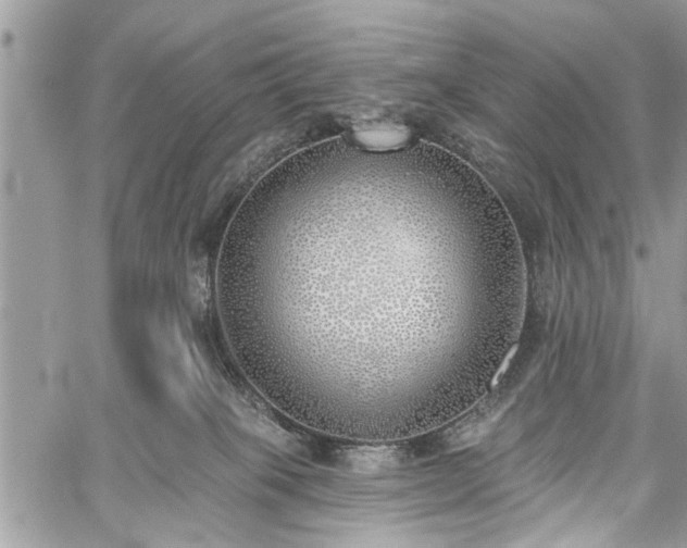 X0000059820085200510241406