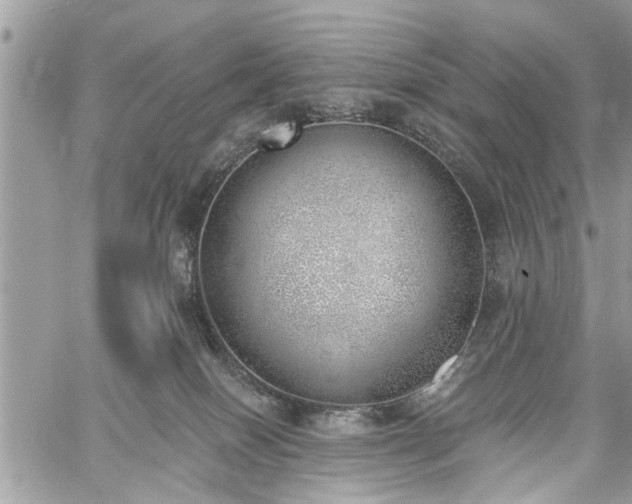 X0000059820086200510241406