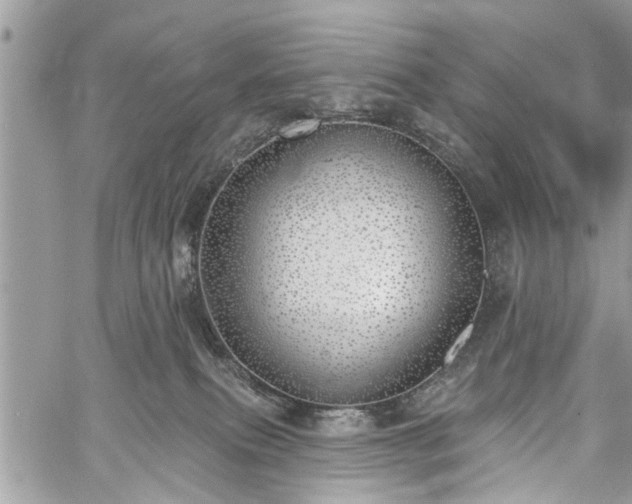 X0000059820087200510241406