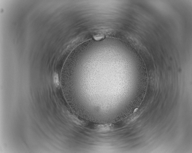 X0000059820089200510241406