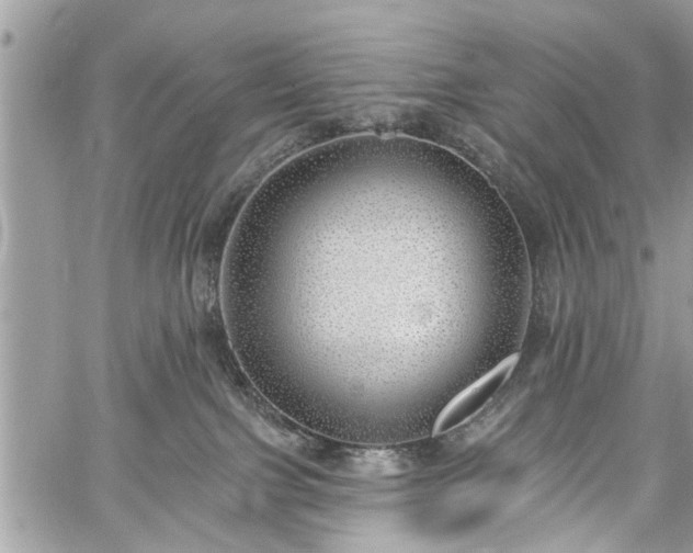 X0000059820091200510241406