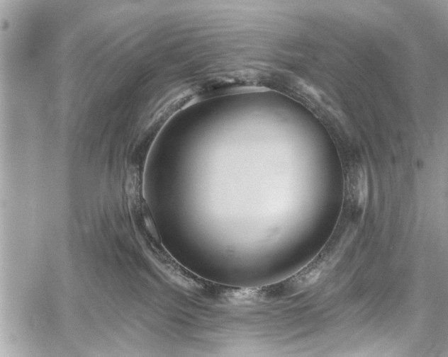 X0000059820092200510241406