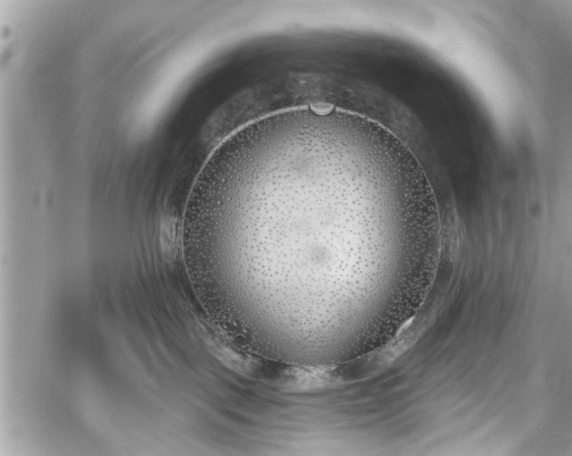 X0000059820093200510241406