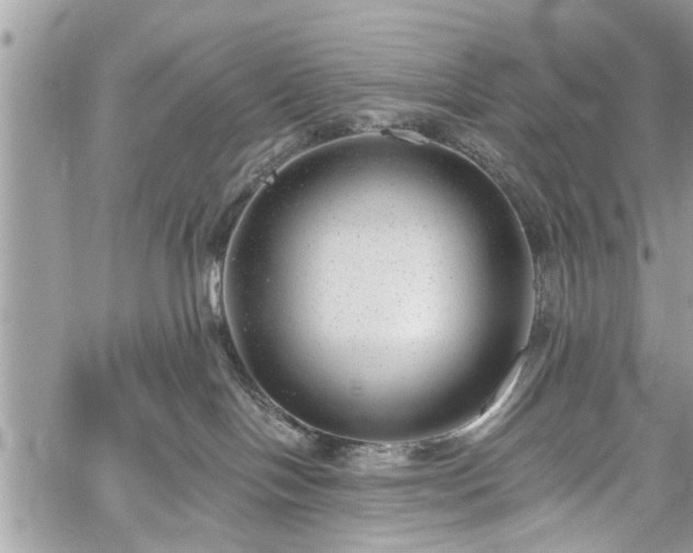 X0000059820094200510241406