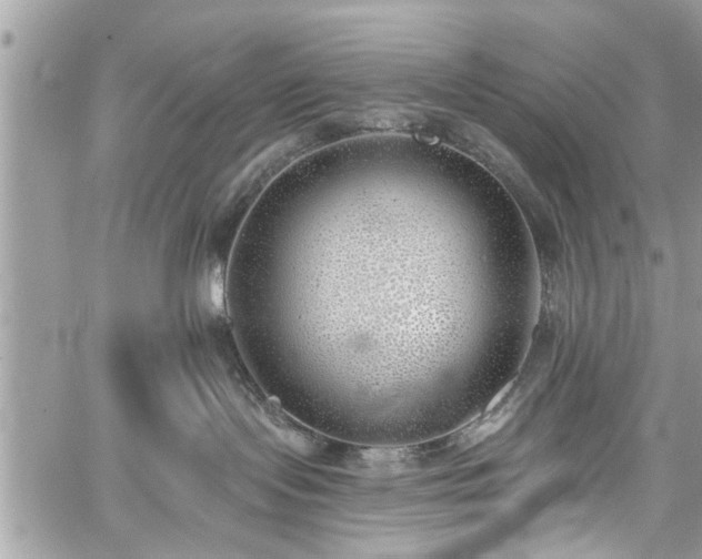 X0000059820095200510241406