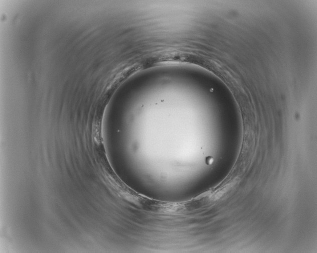 X0000059820096200510241406