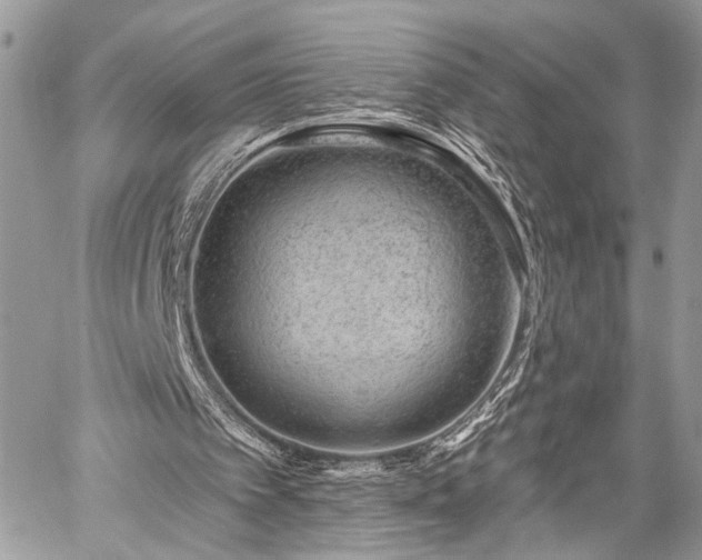 X0000059820097200510241406