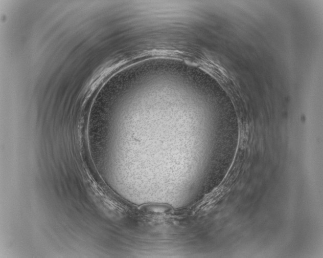 X0000059820098200510241406