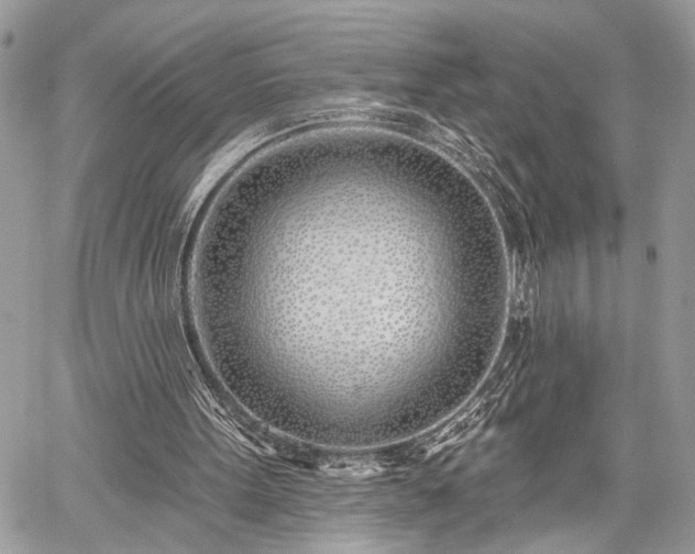 X0000059820099200510241406