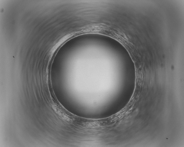 X0000059820100200510241406