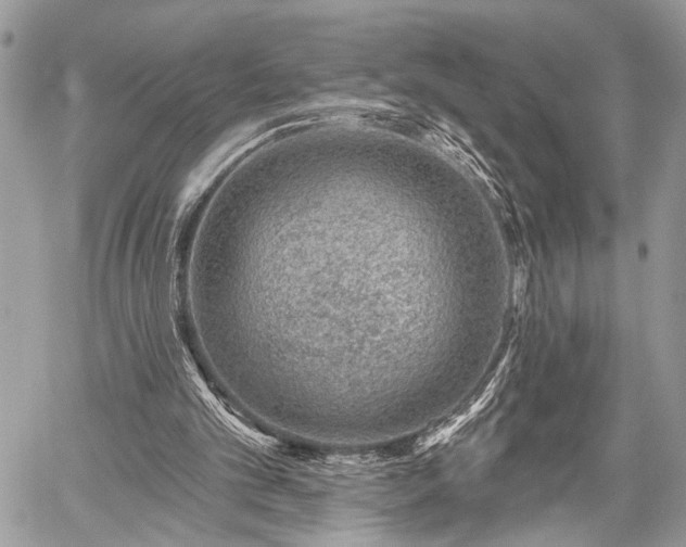 X0000059820101200510241406