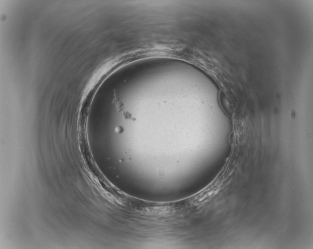 X0000059820102200510241406