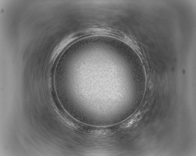 X0000059820103200510241406