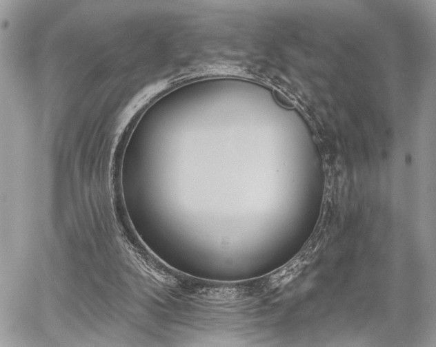 X0000059820104200510241406