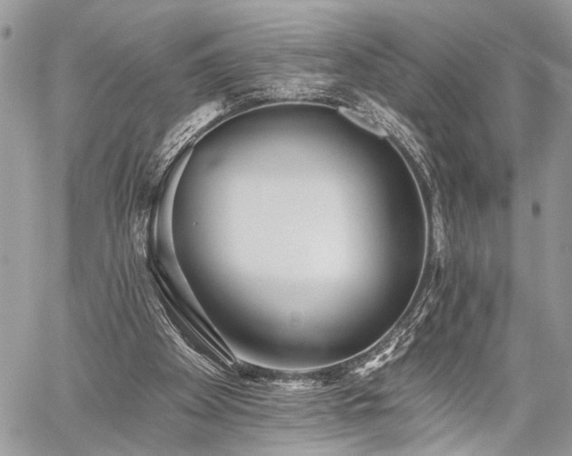 X0000059820105200510241406