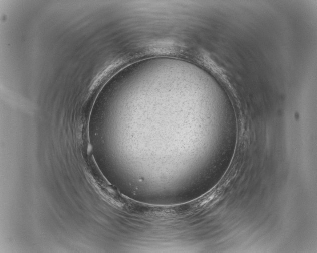 X0000059820106200510241406