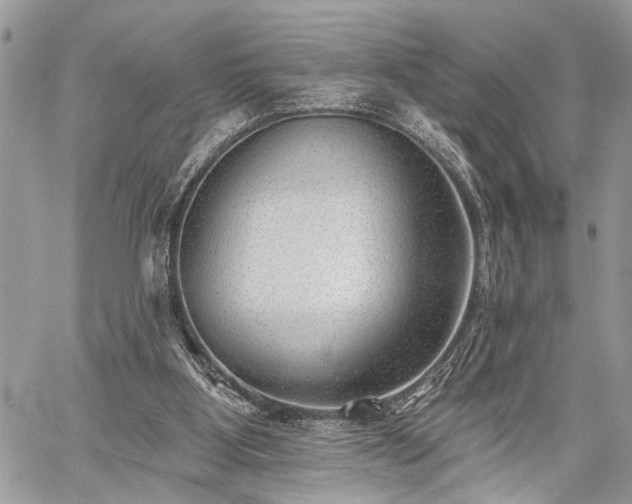 X0000059820107200510241405