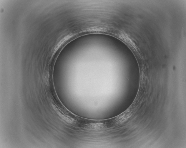 X0000059820108200510241405