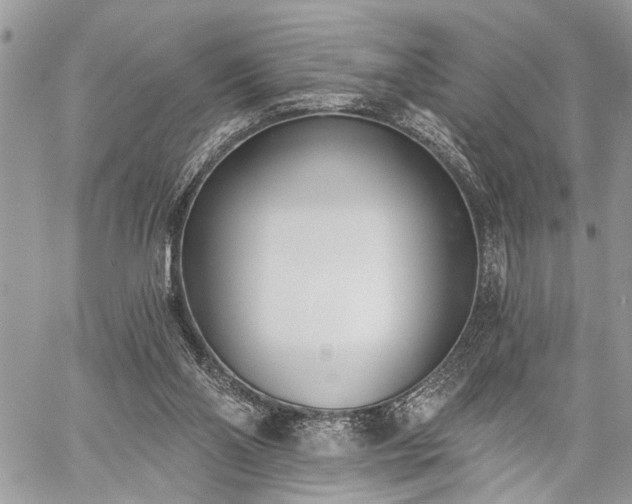 X0000059820110200510241405