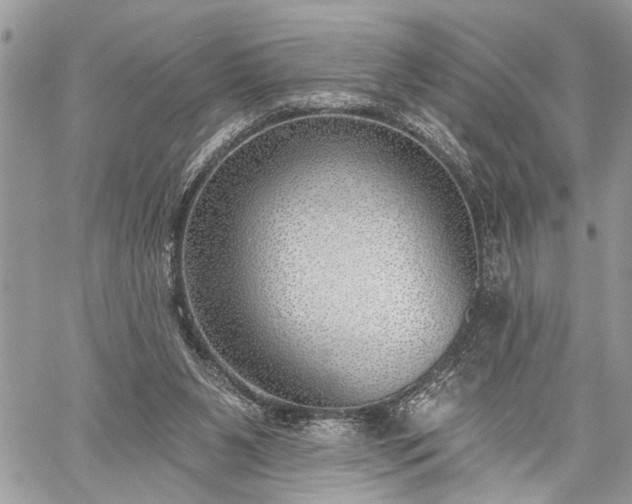 X0000059820111200510241405