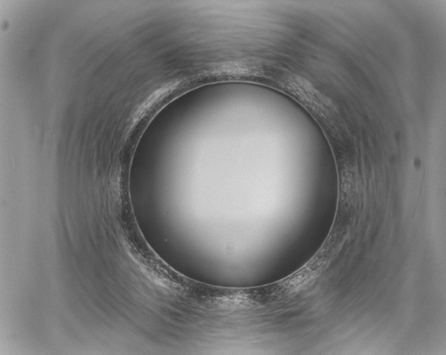 X0000059820112200510241405