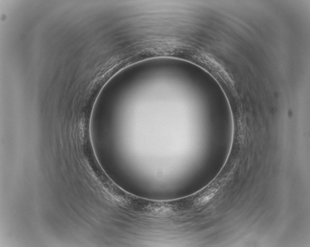 X0000059820113200510241405