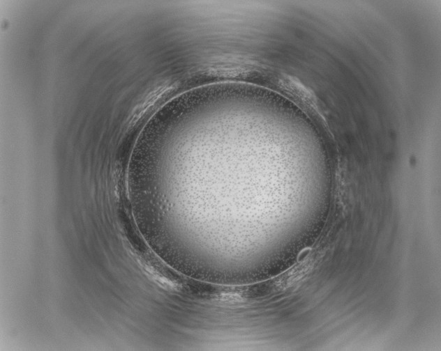 X0000059820114200510241405