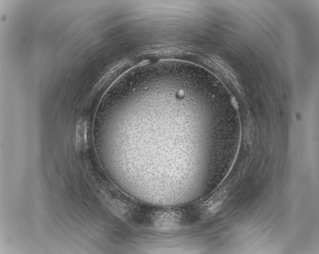 X0000059820115200510241405