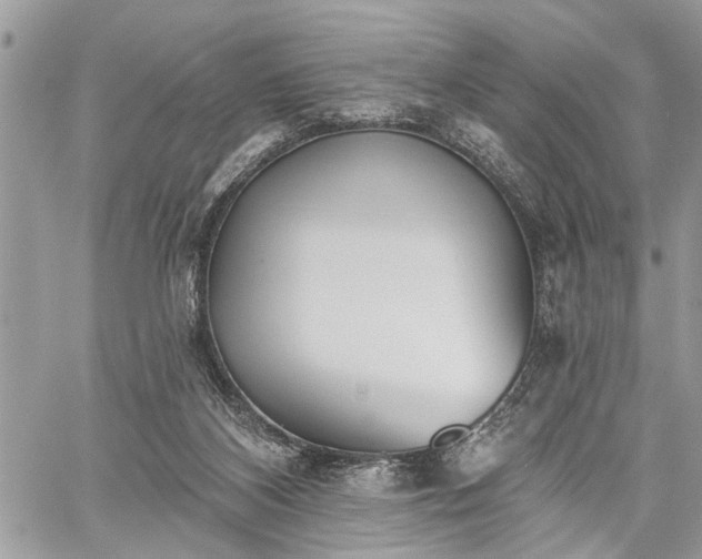 X0000059820116200510241405