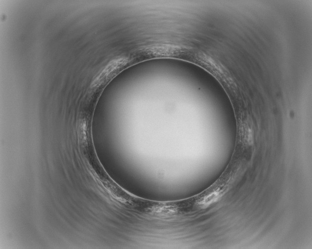 X0000059820117200510241405