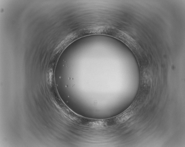 X0000059820118200510241405