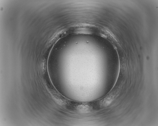 X0000059820119200510241405