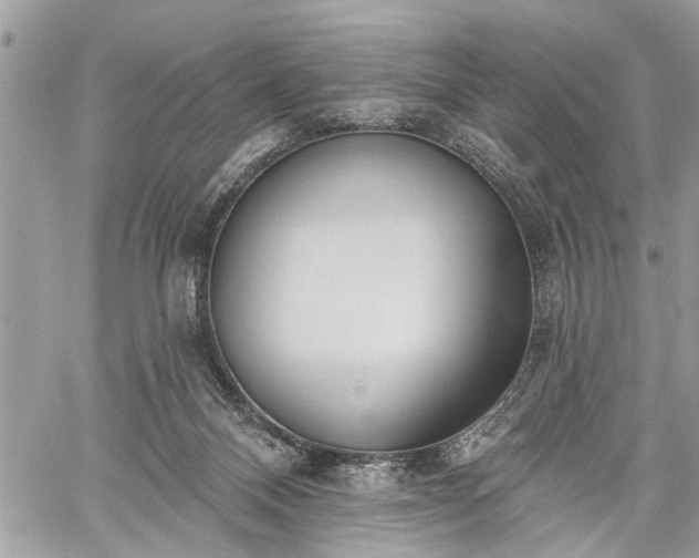 X0000059820120200510241405