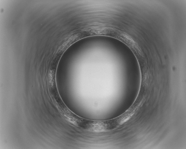 X0000059820121200510241405