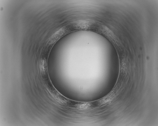 X0000059820122200510241405