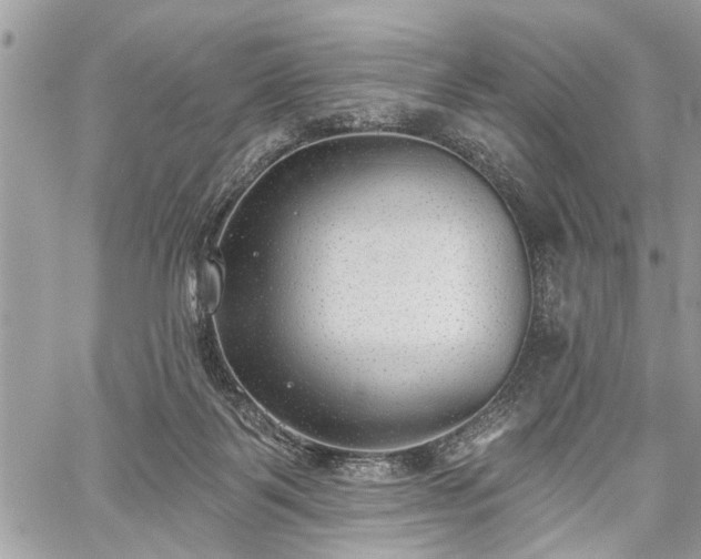 X0000059820123200510241405