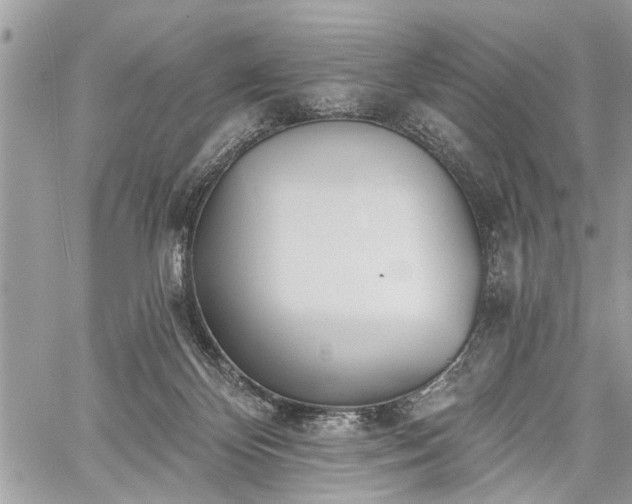 X0000059820124200510241405