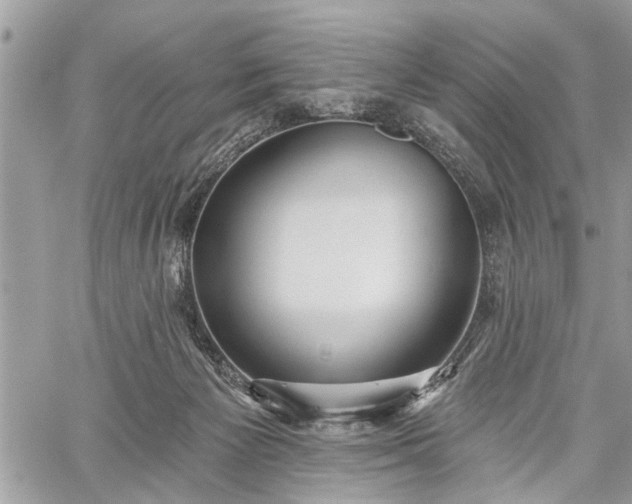 X0000059820125200510241405