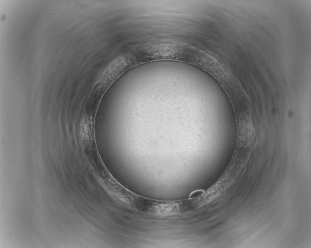 X0000059820126200510241405