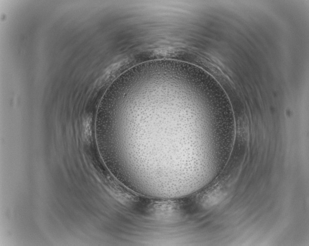 X0000059820127200510241405