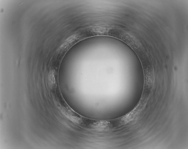 X0000059820128200510241405