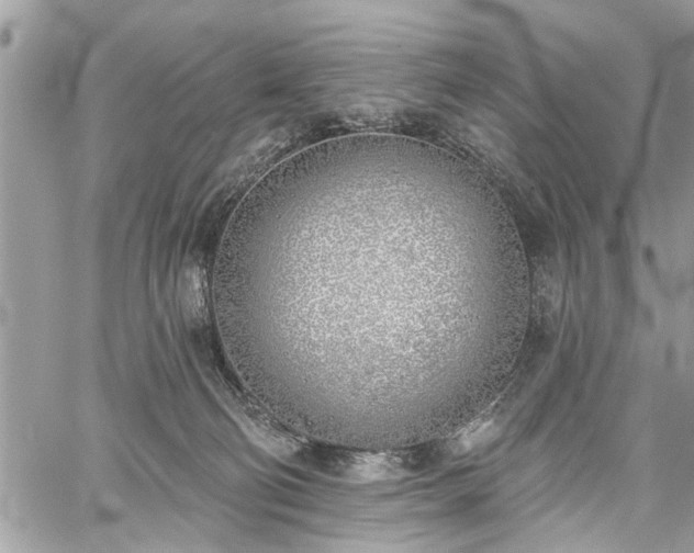 X0000059820130200510241405