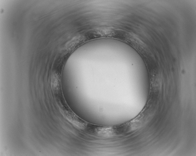 X0000059820132200510241405