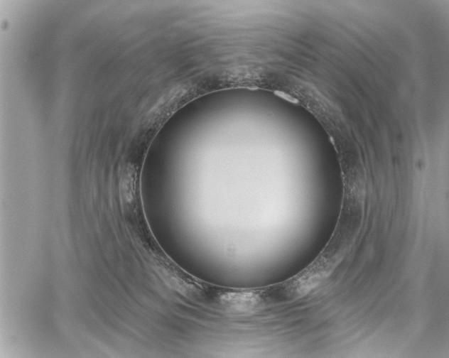 X0000059820133200510241405