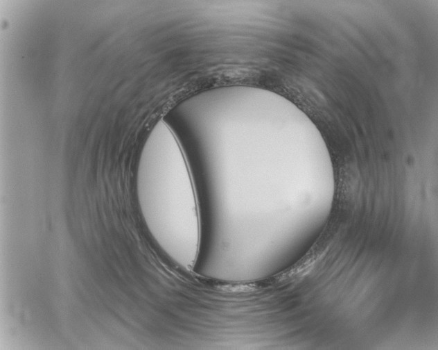 X0000059820135200510241405