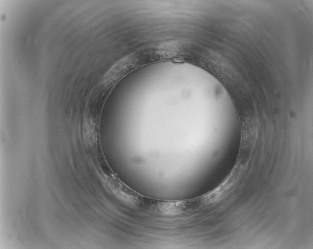 X0000059820136200510241405