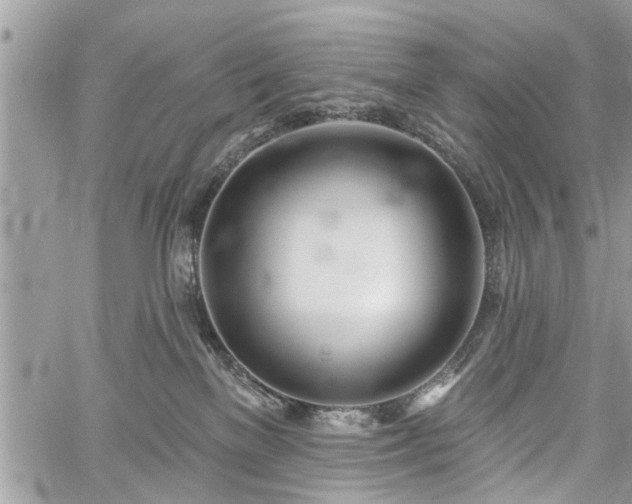 X0000059820137200510241405